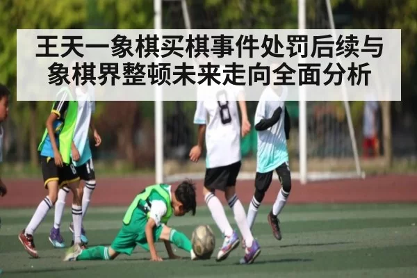 王天一象棋买棋事件处罚后续与象棋界整顿未来走向全面分析