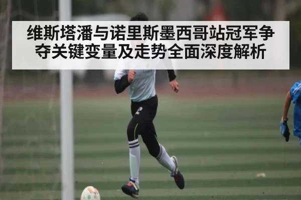 维斯塔潘与诺里斯墨西哥站冠军争夺关键变量及走势全面深度解析